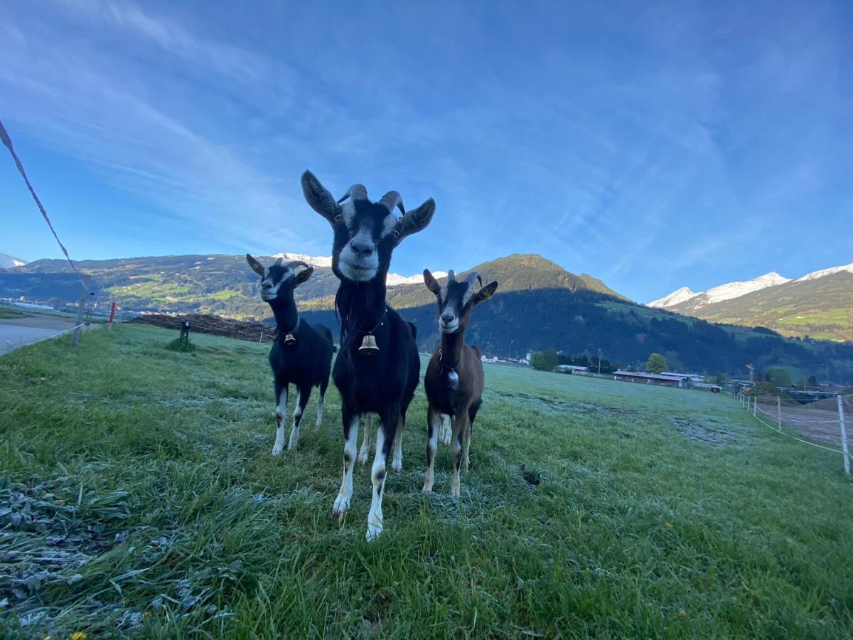Hotel Standlhof Zillertal Uderns Kültér fotó